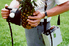 person holding some kind of apparatus against a pineapple